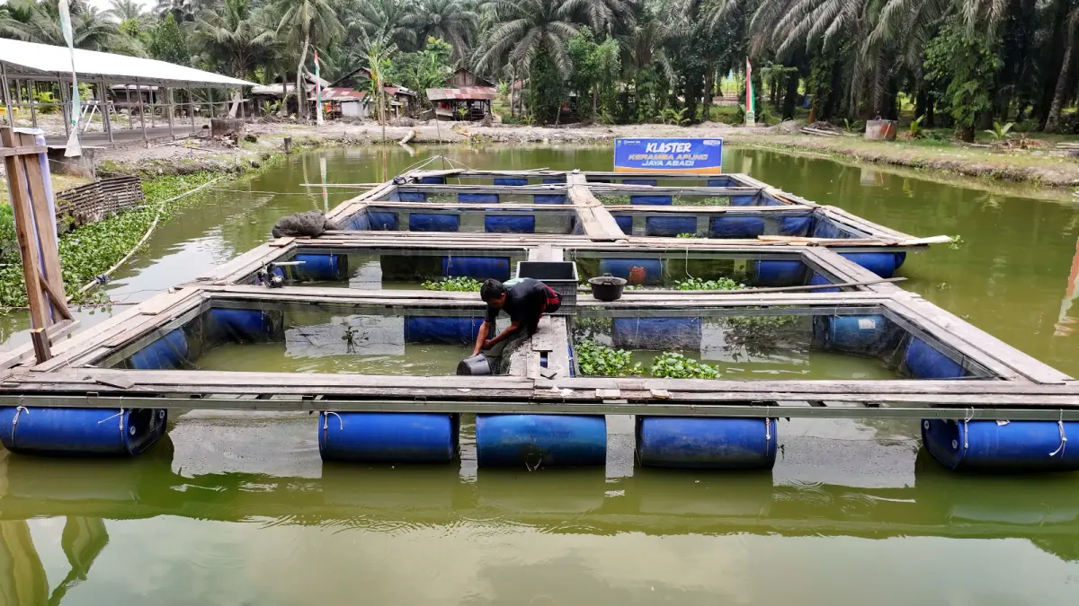 Keramba apung menjadi andal Desa Empang Baru. (Ist)