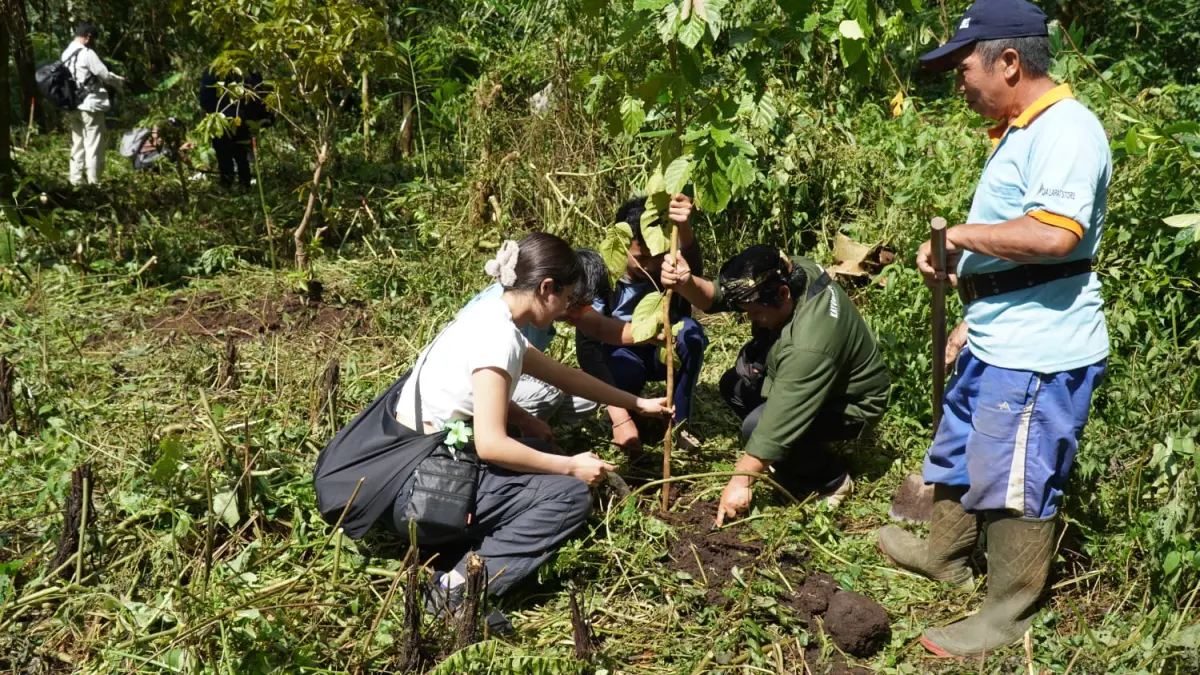 Penanaman pohon bersama di kawasa hutan danau Tamblingan.