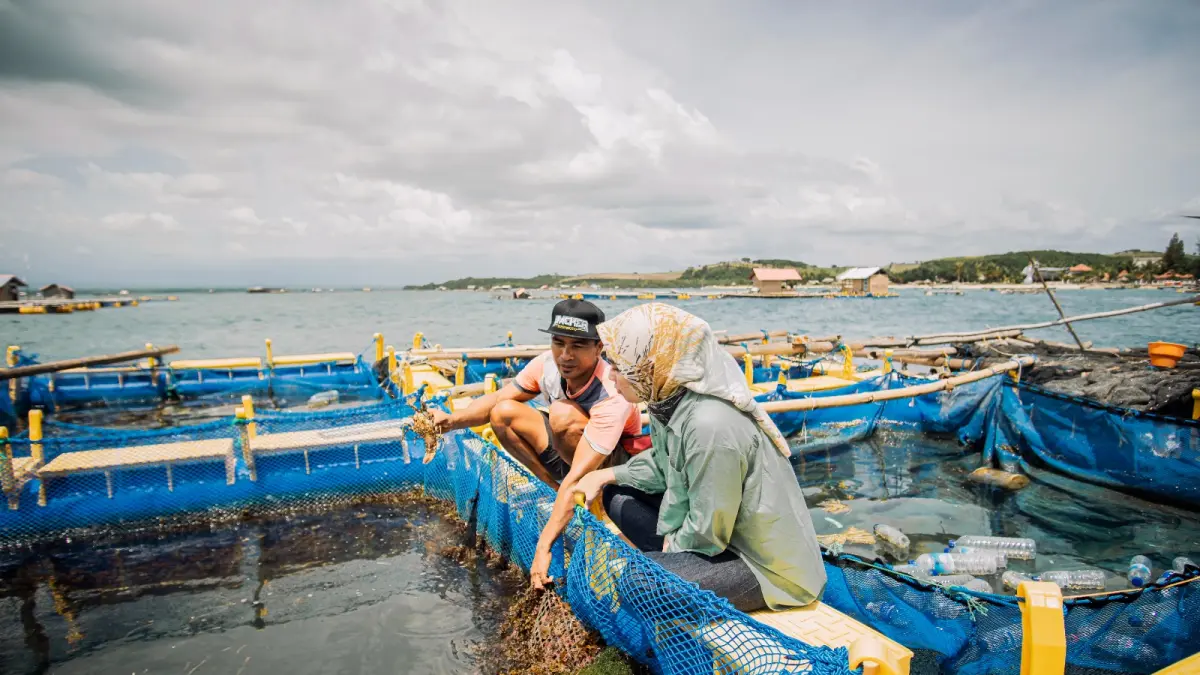 Holding Ultra Mikro (UMi) yang terdiri dari PT Bank Rakyat Indonesia (Persero) Tbk (BRI) sebagai induk, bersama PT Pegadaian dan PT Permodalan Nasional Madani (PNM), terus memperkuat perannya dalam mendorong peningkatan literasi dan inklusi keuangan formal di masyarakat