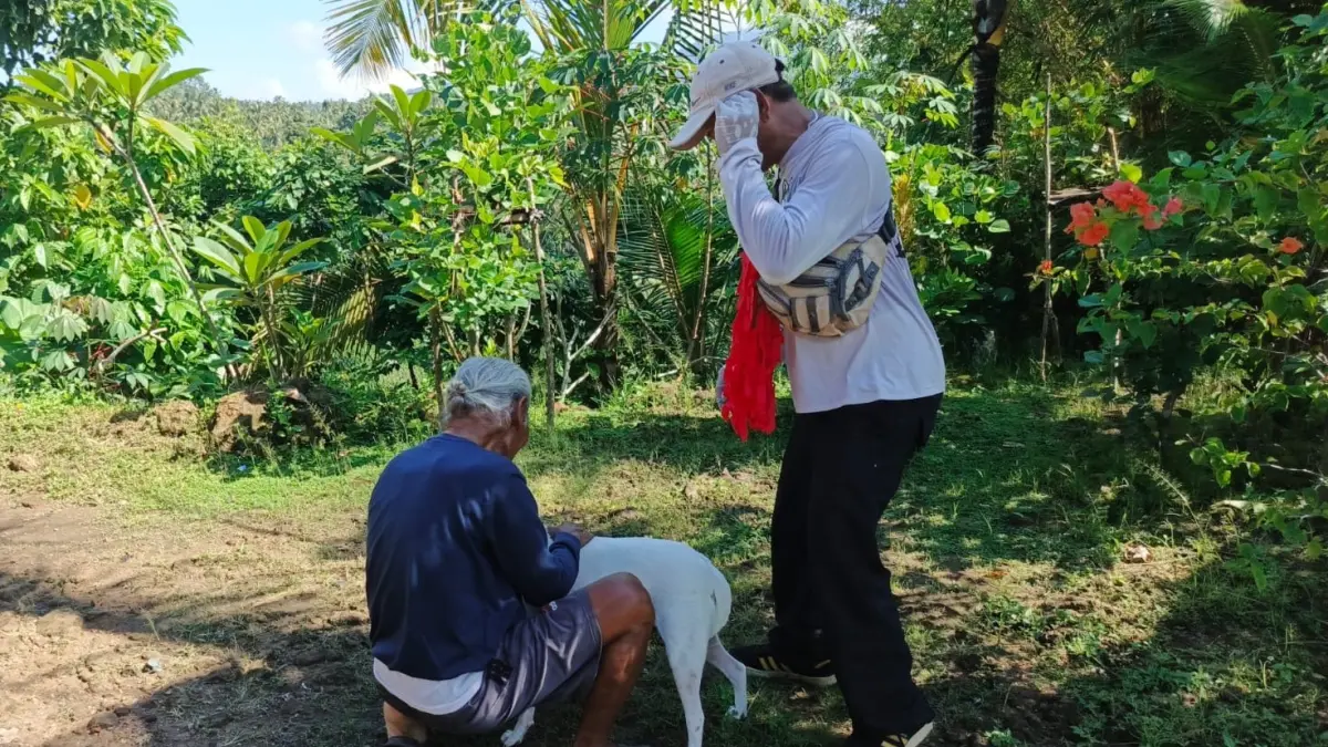 Petugas melakukan vaksinasi rabies di Jembrana. (Ist)

&nbsp;
