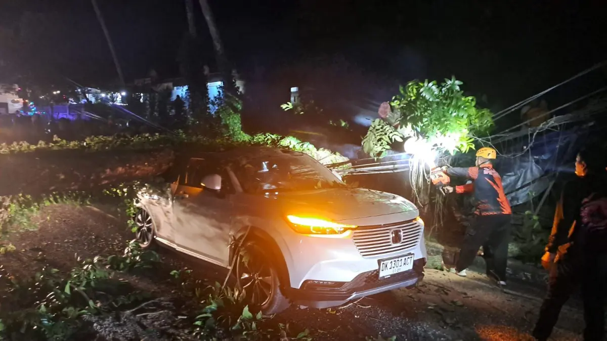 Pohon tumbang di jalan Raya Denpasar -Gilimanuk, Kecamatan Kediri, Kabupaten Tabanan menimpa dua mobil. (Ist)