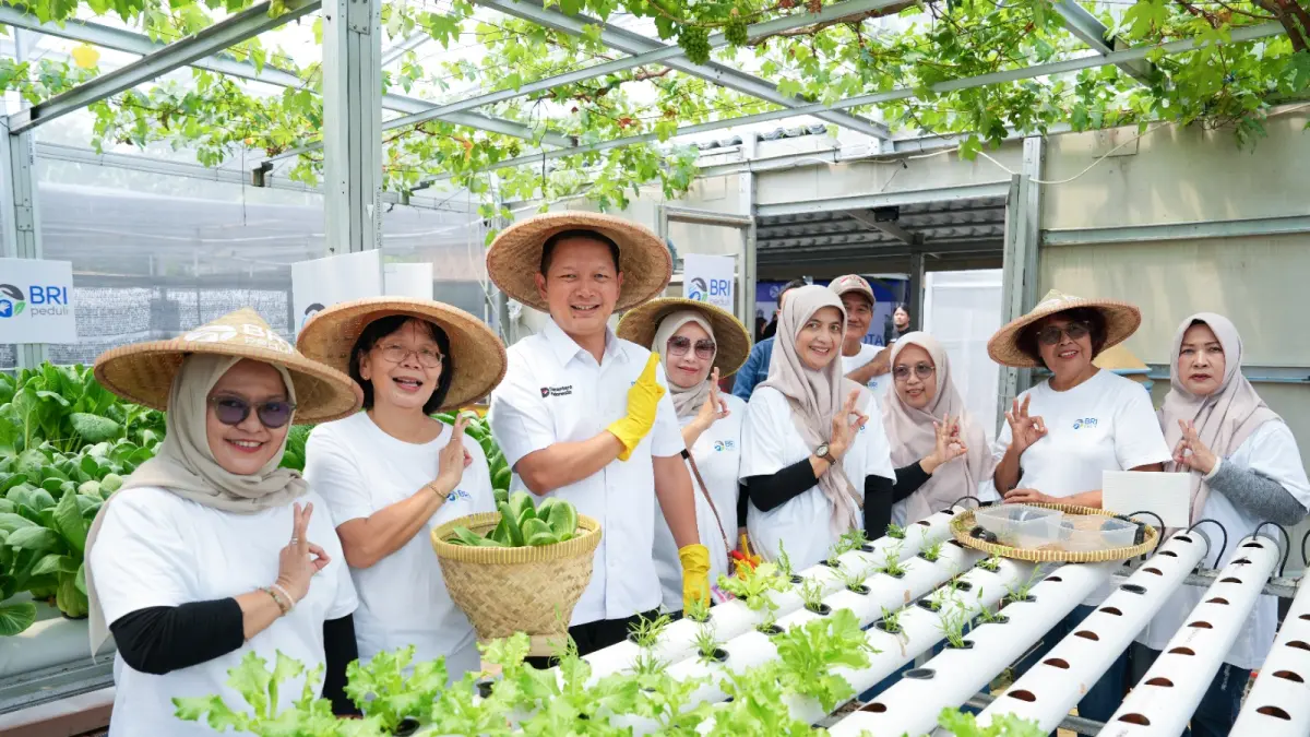 Intip Kisah Inspiratif KWT Buaran Citra Lestari Manfaatkan Lahan Sempit untuk Tanaman Produktif
