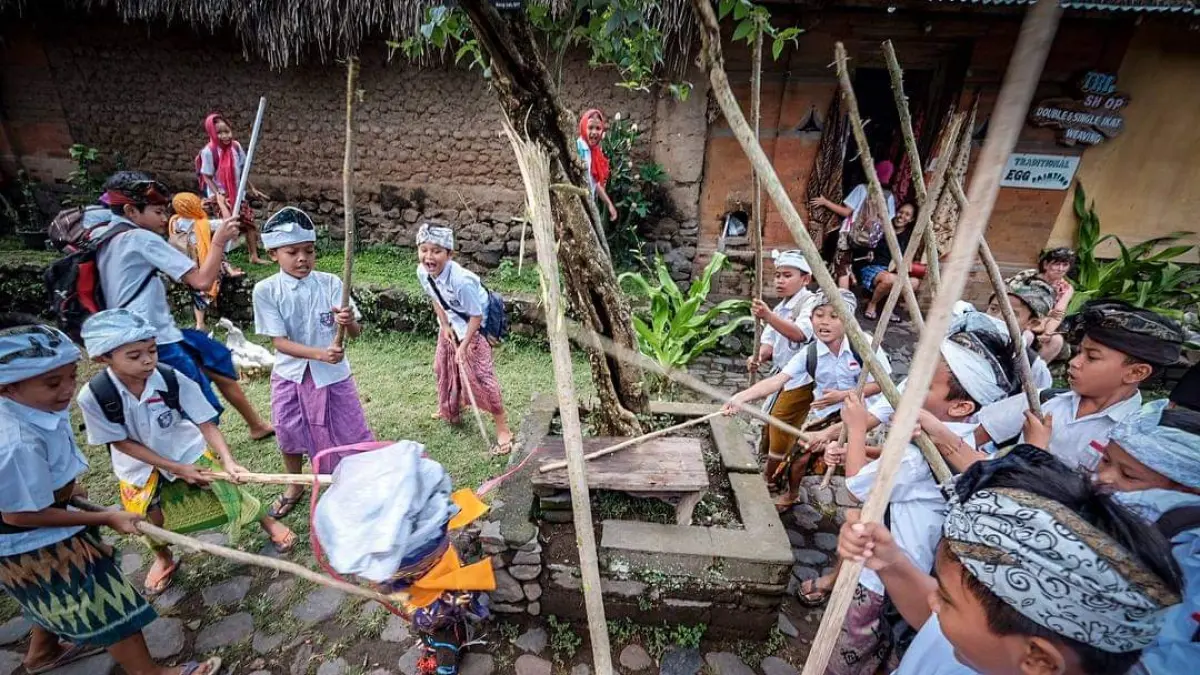 Proses numbak muhu muhu di Desa Adat Tenganan Pegringsingan, Kecamatan Manggis, Karangasem sebagai simbol menetralisir energy negatif yang diwujudkan dengan  medi-median saat Sasih kepitu