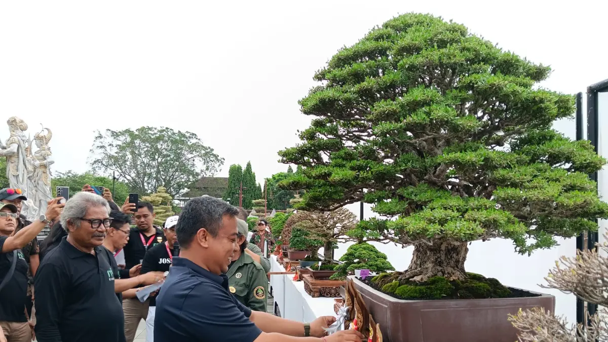 KETUA : Ketua Perkumpulan Penggemar Bonsai Indonesia (PPBI) Kabupaten Gianyar,&nbsp;I Gusti Bagus Adi&nbsp;Widhya&nbsp;Utama.
