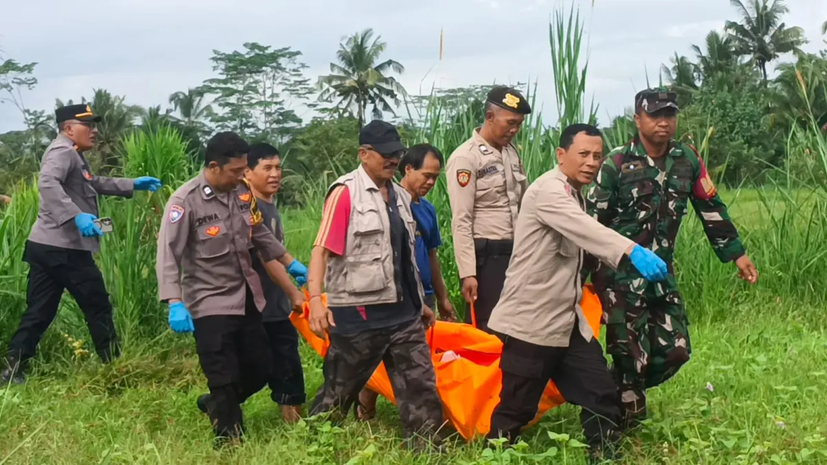 Pihak kepolisian dan TNI mengevakuasi pria lansia yang ditemukan meninggal dunia di persawahan Subak Uma Selat, Desa Yangapi, Kecamatan Tembuku, Kabupaten Bangli, Kamis (30/4/2026). (IST)