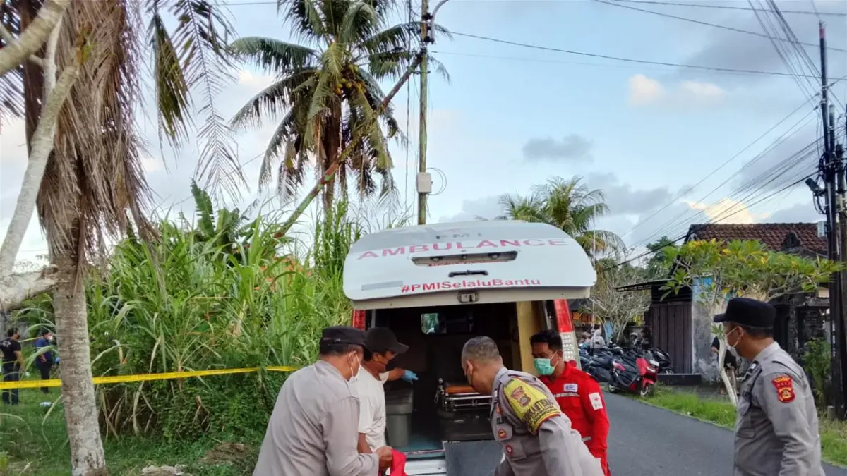 Polisi mengevakuasi jenazah yang ditemukan di persawahan Darmasaba. (IST)
