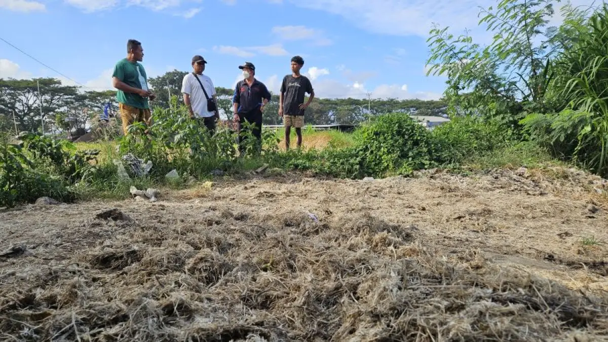 Anggota DPRD Klungkung I Wayan Mastra saat mendatangi lokasi tempat penyimpanan limbah bulu ayam di wilayah Tojan, Klungkung. (Adi Prabawa/Bali Express)
