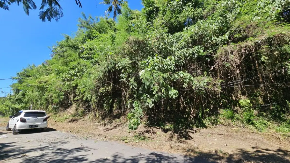 Desa Adat Lepang akan menata tanah yang tidak produktif menjadi lahan persawahan. (Adi Prabawa/Bali Express)