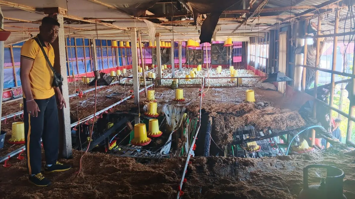 Kandang ayam milik pengusaha di Dusun Sidayu Tojan, Desa Takmung, Banjarangkan terbakar. (Ist)