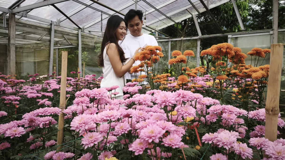 Pasangan muda yang berkunjung ke Agro Pudak Lestari Farm, Desa Pancasari, Buleleng.
