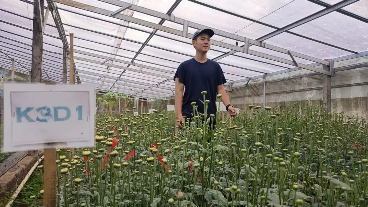 Yeo Vinco, mahasiswa Universitas Warmadewa, Denpasar yang sedang magang di Agro Pudak Lestari Farm, Desa Pancasari, Buleleng. (Dian/Bali Express)