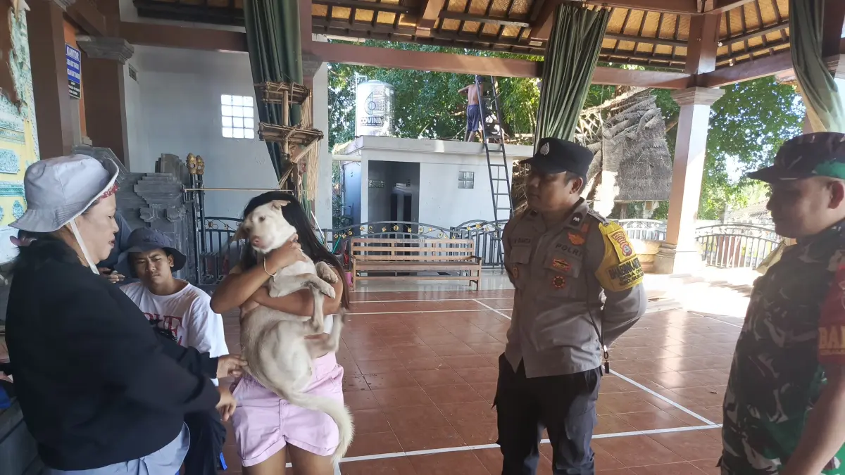 VAKSINASI : Vaksinasi rabies serentak di Desa Celuk, Sukawati, Gianyar.