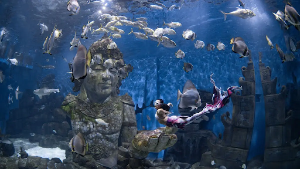 Coral Breeze Studio Dorong Mermaiding Indonesia Lewat Showcase