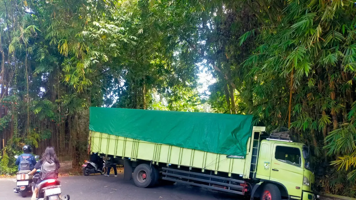 Truk muat jagung melintang di Jalan Nusantara, Bangli, Kamis (9/7/2026). (I Made Mertawan/Bali Express)