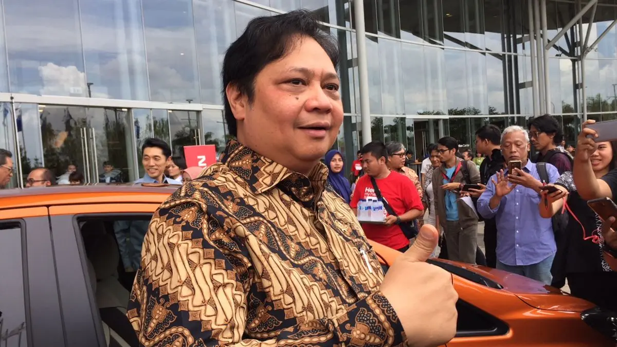 Menteri Koordinator Bidang Perekonomian Airlangga Hartarto (IST)