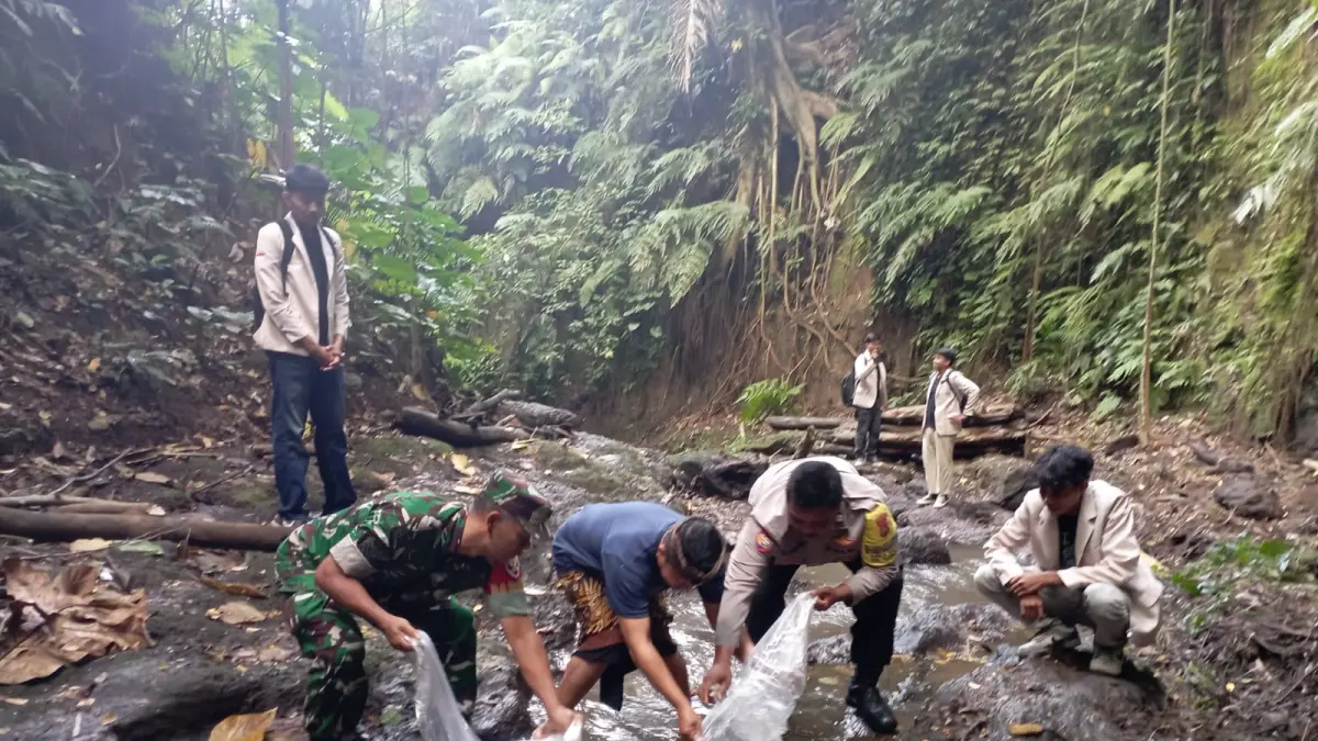 IKAN : Penebaran bibit ikan nila di sungai wilayah Pejeng, Kecamatan Tampaksiring.&nbsp;
