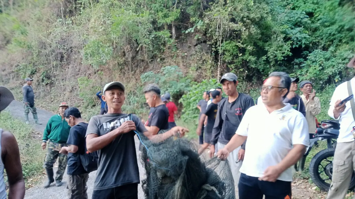 Tradisi Meboros di Pura Dangka Les beberapa waktu lalu (is)