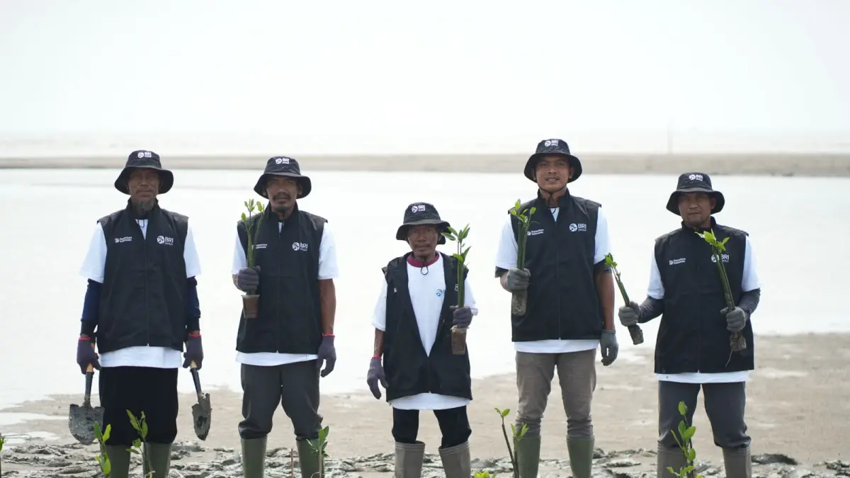 BRI Peduli melibatkan kelompok tani menanam 24.000 mangrove. (Ist)