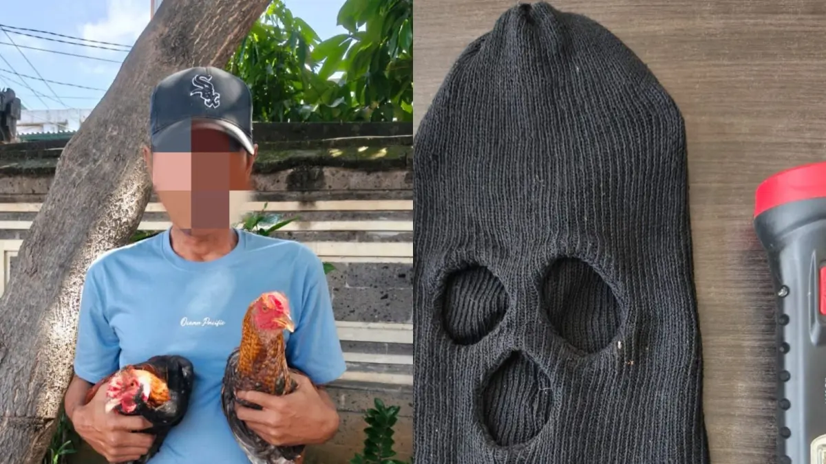 Pencuri ayam yang merupakan residivis ditangkap Polsek Sawan. (Ist) 