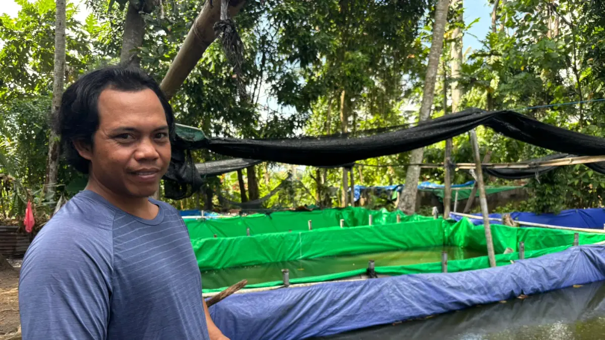 Pembibitan Lele di Bali Tingkatkan Kapasitas Produksi
