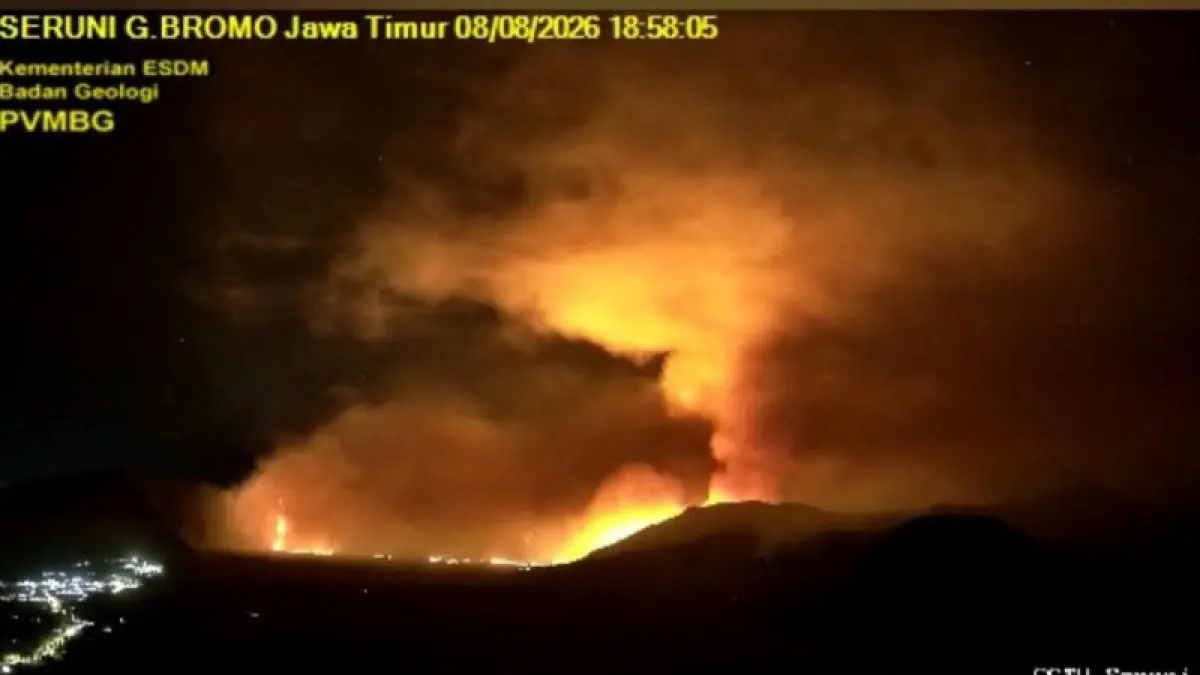 Kebakaran kawasan hutan Gunung Bromo di Jawa Timur, Sabtu (8/8/2026) malam. (ANTARA)