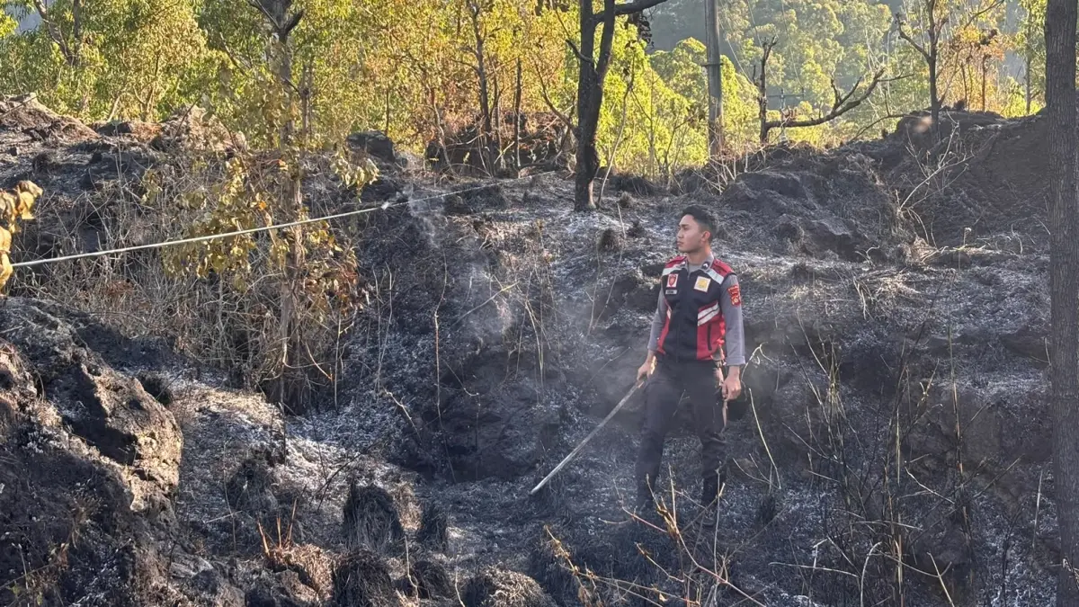 Kebakaran kawasan Taman Wisata Alam (TWA) Gunung Batur Blok Seked, Kecamatan Kintamani, Kabupaten Bangli, Selasa (11/8/2026). (Ist)