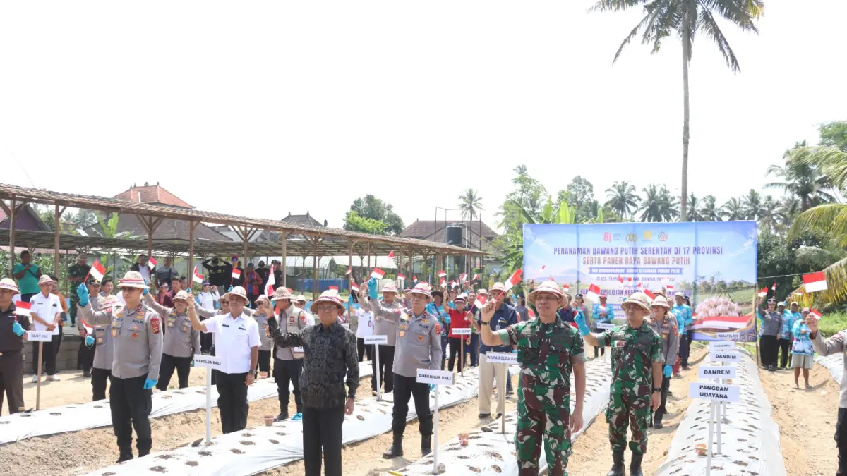 SERENTAK : Penanaman bawang putih serentak di Kecamatan Tampaksiring.