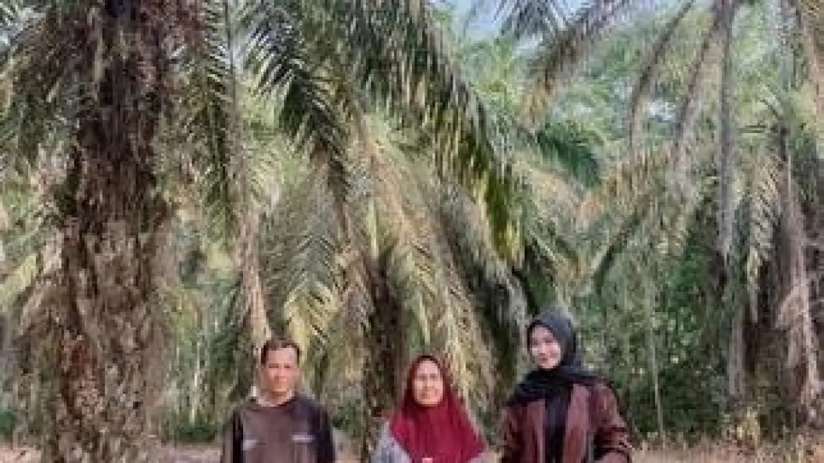 Alifia Naura Nazifah, Mantri BRI Unit Sumber Hidup, BRI Branch Office Kayu Agung melayani ratusan debitur yang tersebar di Desa Tanjung Makmur, Desa Kayu Labu, dan Desa Sido Mulyo. Sebagian besar menggantungkan usaha dari perkebunan kelapa sawit dan karet, sementara sebagian lainnya menjalankan toko sembako dan usaha manisan.