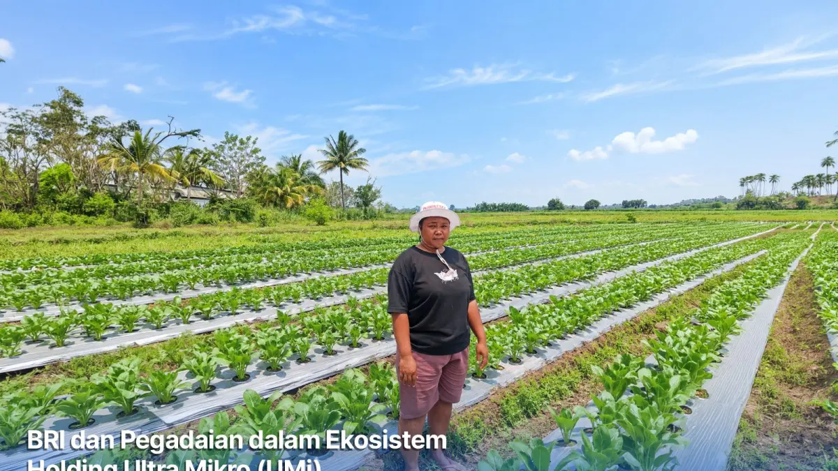 Holding Ultra Mikro Bawa Mur Dwi Astuti Sukses Jadi Petani di Merauke