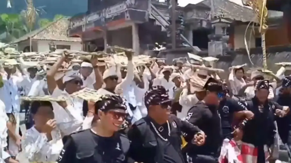 Tradisi Nyuun ancak di Desa Kedisan, Kecamatan Kintamani, Bangli