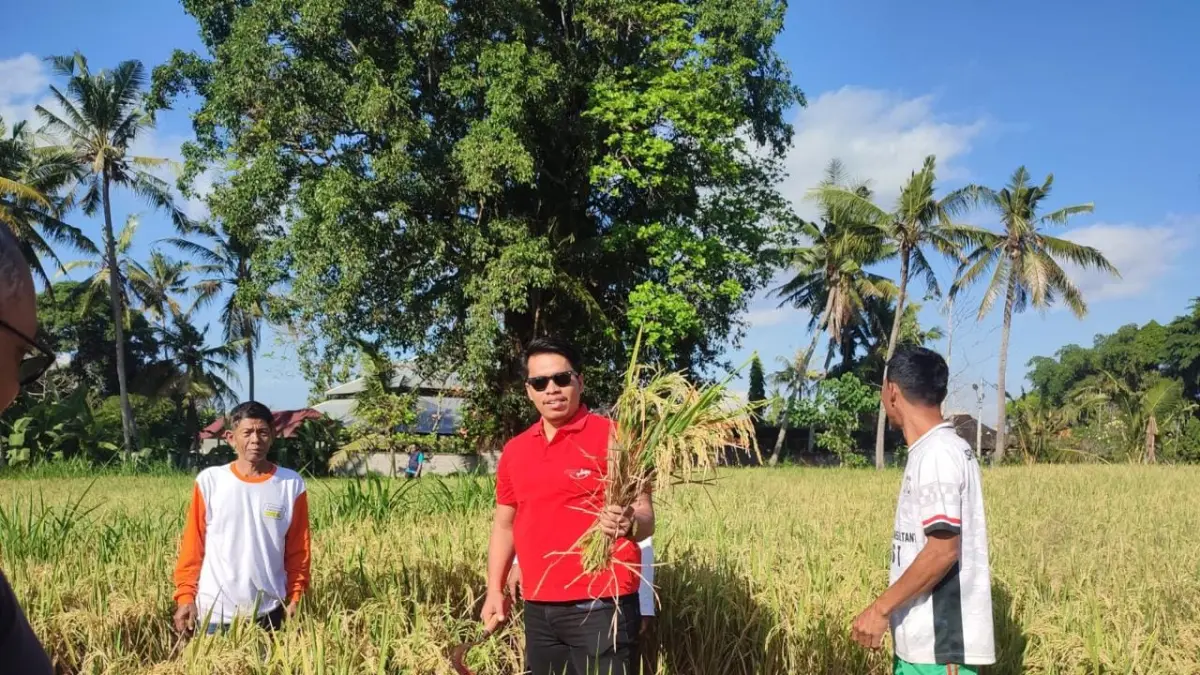 Subak di Desa Lebih