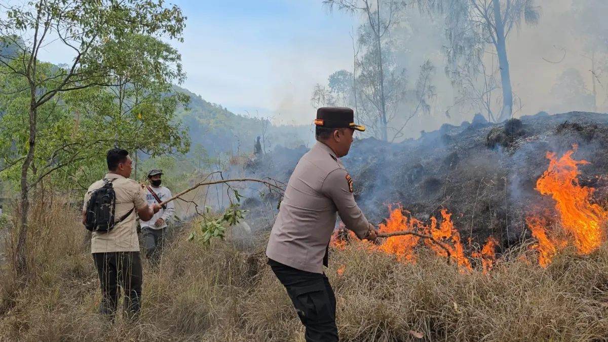 Tim gabungan melakukan pemadaman api di kawasan hutan Kintamani, Selasa (6/10/2026). (Ist)