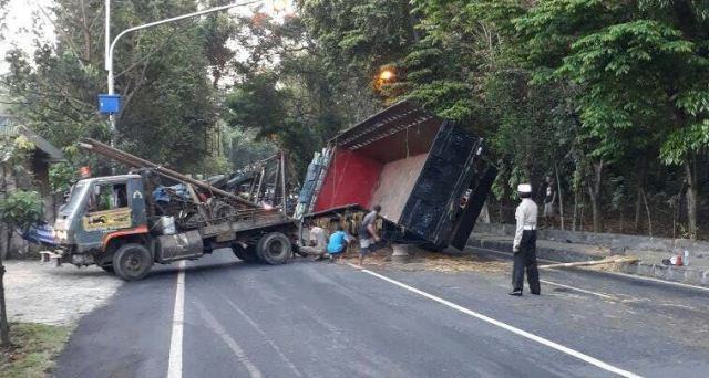Angkut Sapi dari Pengungsian ke Banyuwangi, Truk Nyaris Terguling