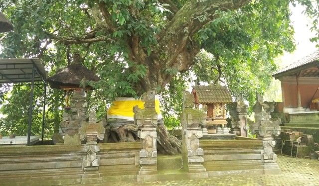 Mohon Petunjuk dan Obat,  Coba Tangkil ke Pura Dalem Tengaling