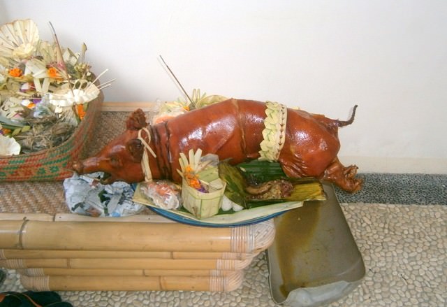 Bebangkit Harus Gunakan Babi Guling, Bukan Bebek