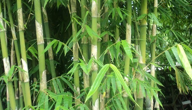 Awas, Salah Menaruh Barang Bisa Pamali!