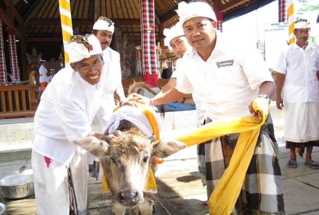 Begini Makna dan Tujuan Mapepada dalam Upacara Hindu di Bali