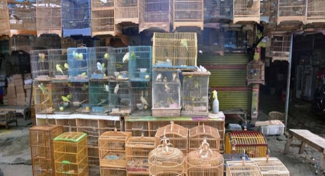 Pasar Burung Satria, Kebun Binatang Mini Kota Denpasar