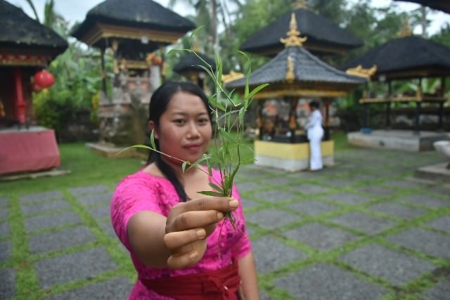 Nebusin, Ritual Mengembalikan Roh, Menukar Atma dengan Upakara