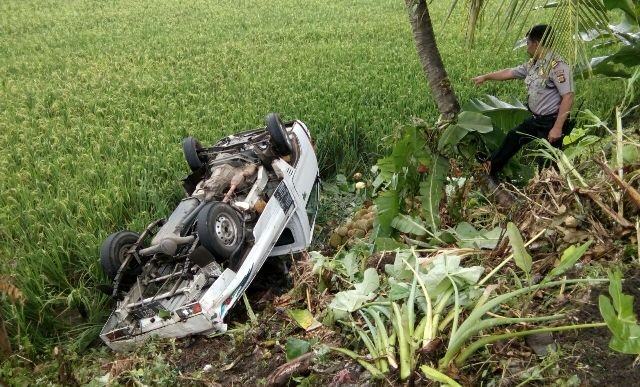 Perbaiki Posisi Tidur Anak Sambil Nyetir, Mobil Nyungsep ke Sawah