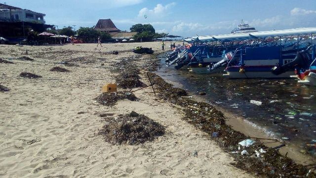Waduh, Tanjung Benoa Diserbu Sampah