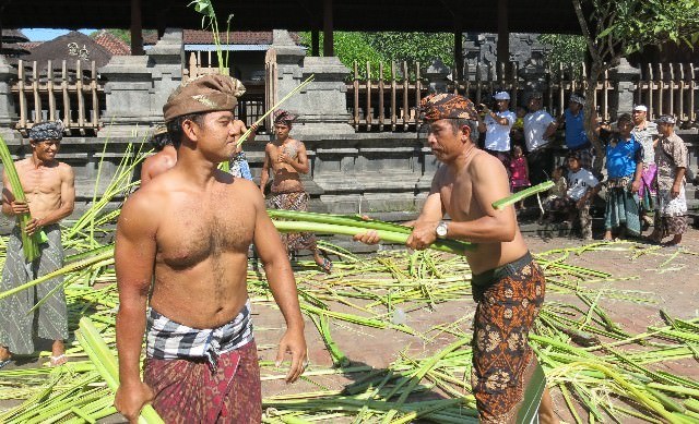 Ini Pesan Tradisi Tatebahan Desa Pakraman Bugbug