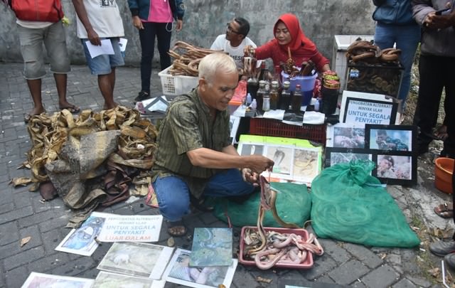 Minyak Kobra Mas Diminati Kalangan Pria, Khasiatnya Bikin Greng