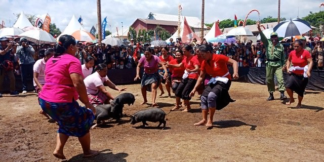 Begini Serunya Lomba Ngejuk Kucit Serangkaian HUT RI ke-73