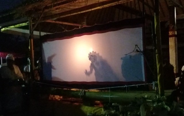 PSN dan Disbud Denpasar Gelar Mebayuh Sapuh Leger Massal
