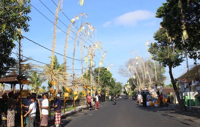 Pasang Lebih dari 3 Ribu Penjor, Bentuk dan Ukuran Sama