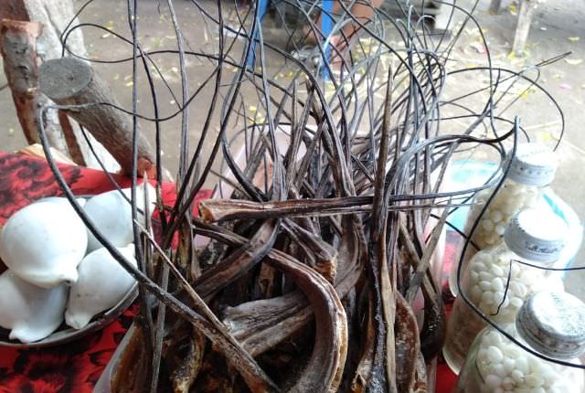 Bulu Perindu; Diyakini Berkhasiat Pengasih-Asih, Kini Dijual Bebas