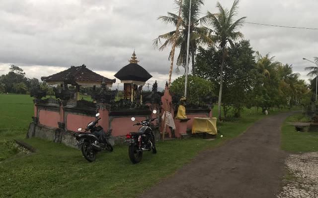 Berawal Temuan Telaga Berwarna Kuning yang Dihuni Buaya Kuning