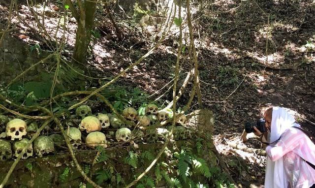 Kuburan Desa Terunyan; Taru Menyan, Pohon yang Hidup 11 Abad