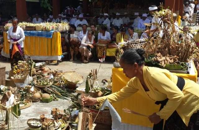 Akibat Ulah Pati dan Salah Pati, Warga Basangambu Gelar Pecaruan